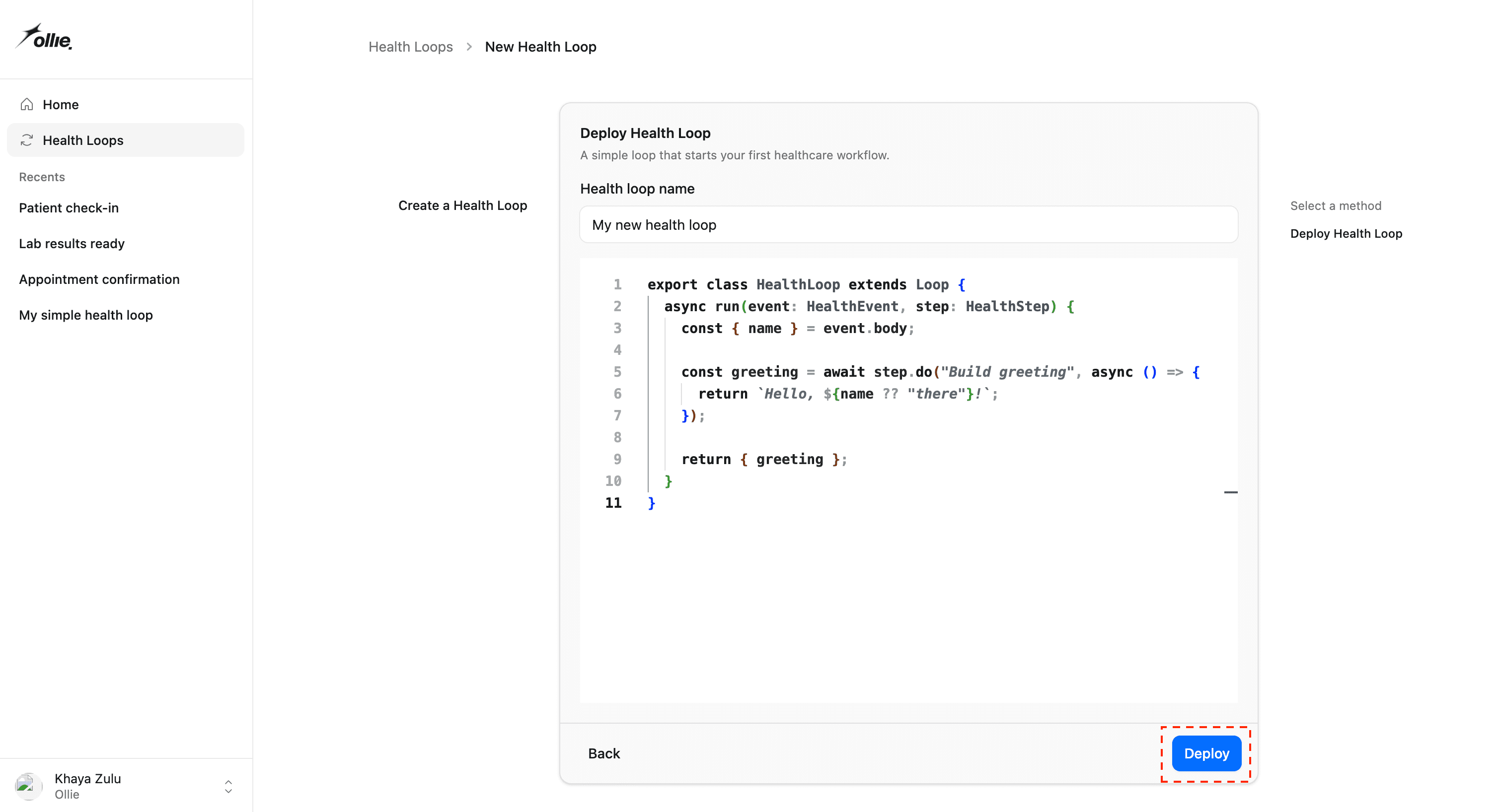 Screenshot of the code editor with the snippet above, name field filled in