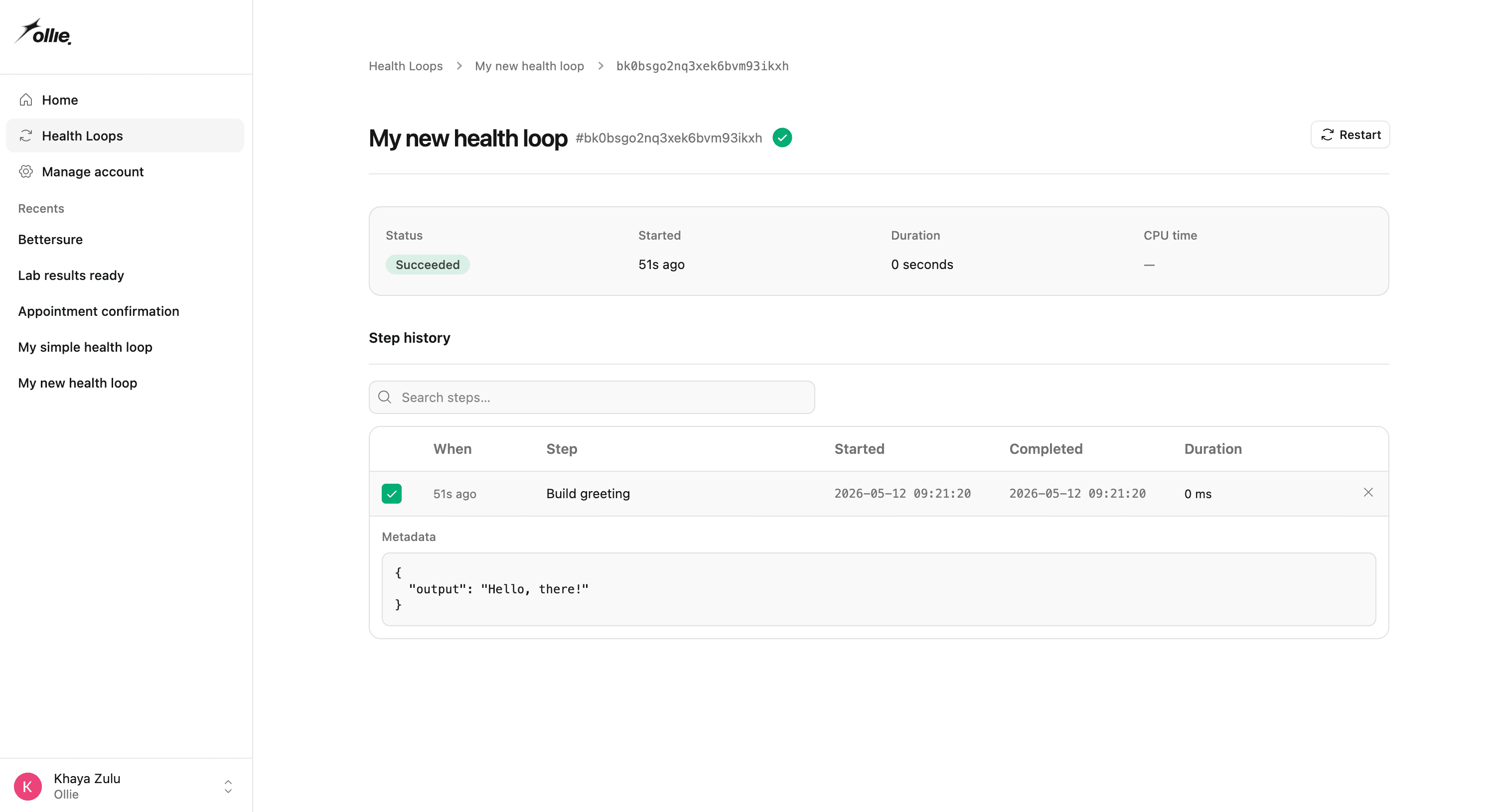 Screenshot of the run detail with steps + logs visible